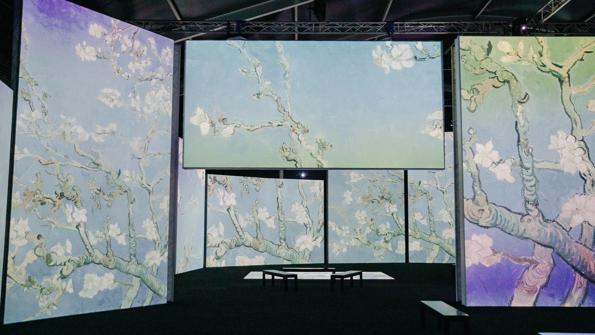 Van Gogh Alive Preview