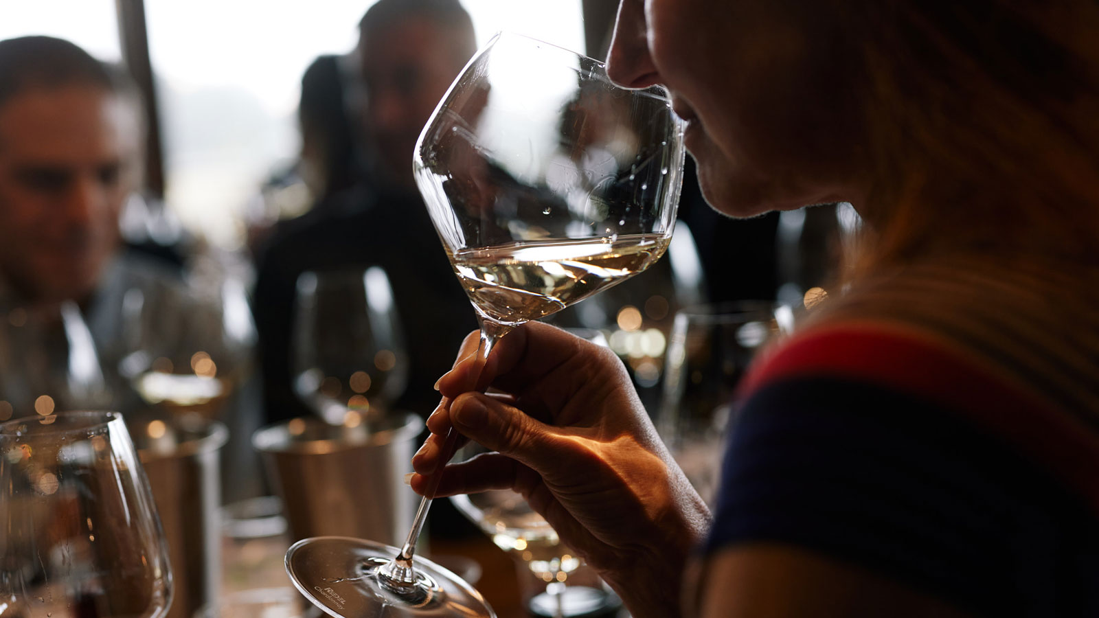 Lexus Dining Experience at Mt Lofty Ranges Vineyard
