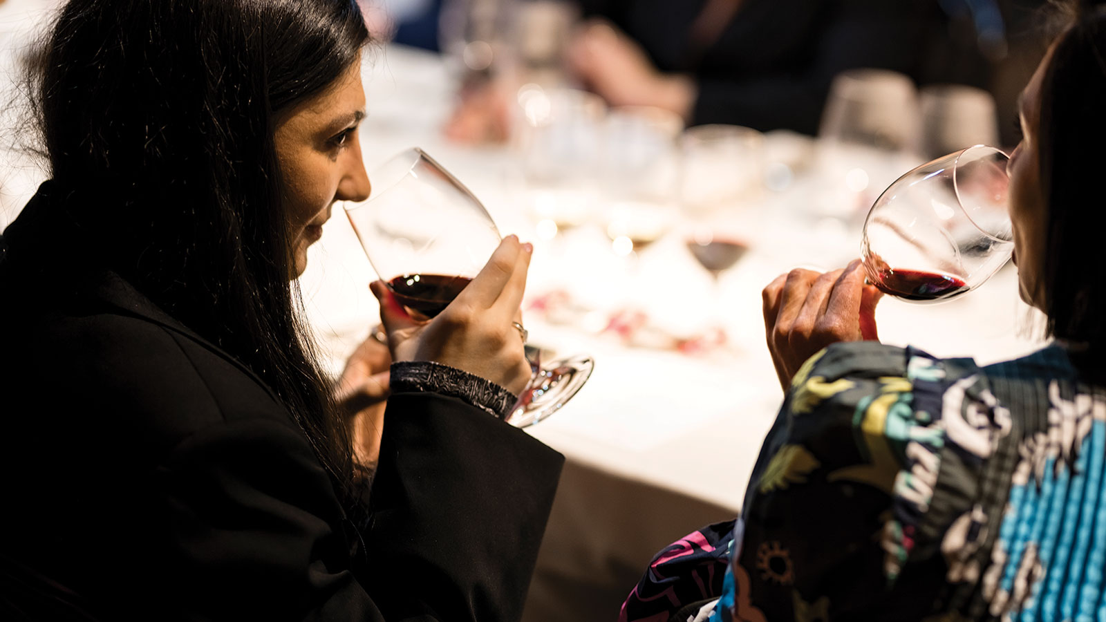 Lexus Encore Event at Penfolds Magill Estate