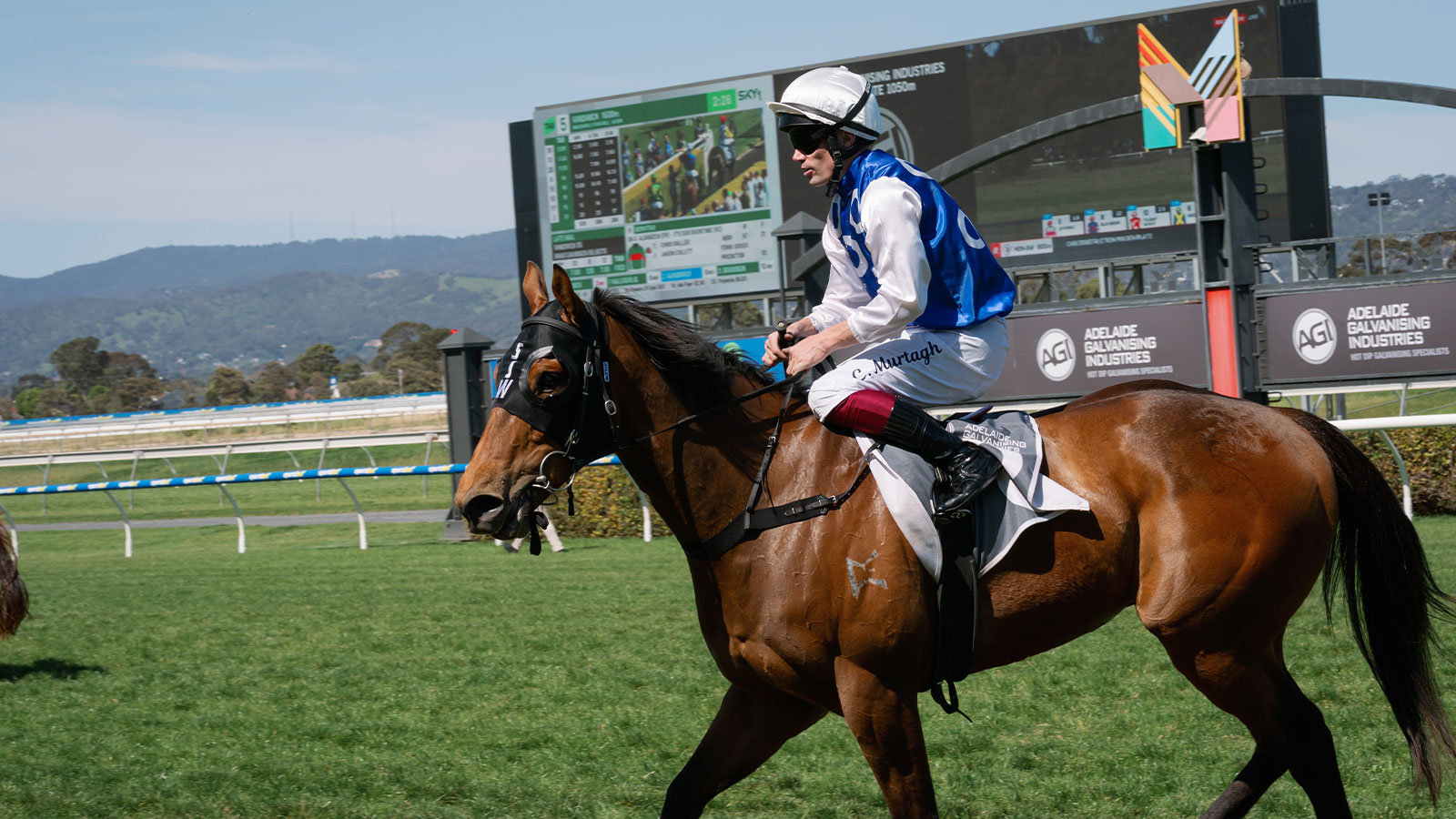2025 Day at the Races at Morphettville Racecourse