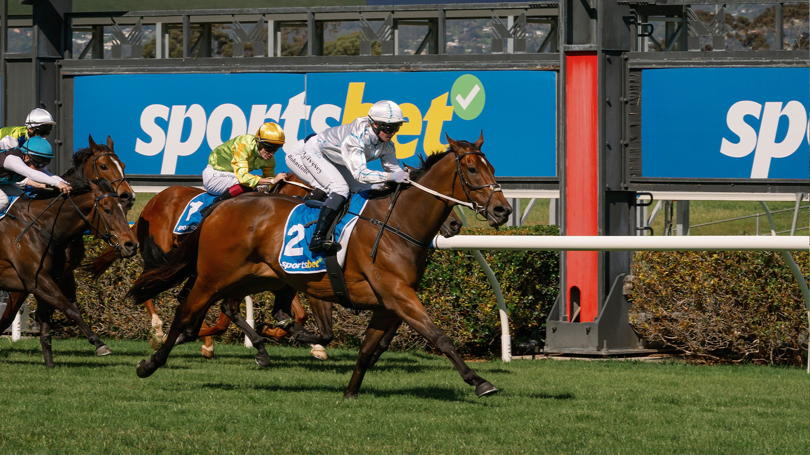 2025 Day at the Races at Morphettville Racecourse