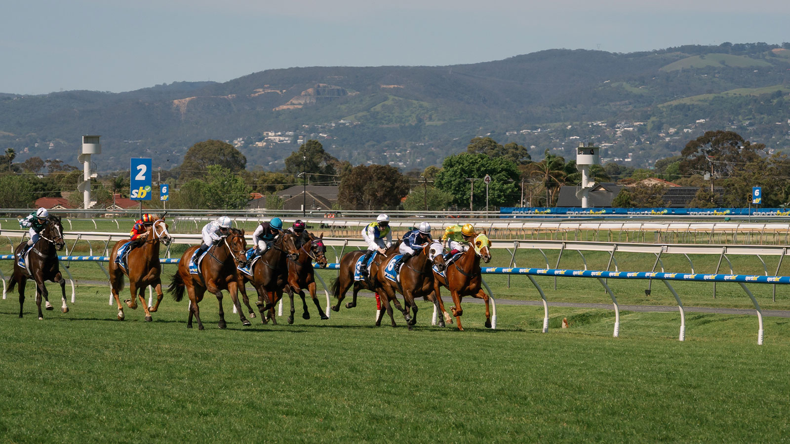 2025 Day at the Races at Morphettville Racecourse