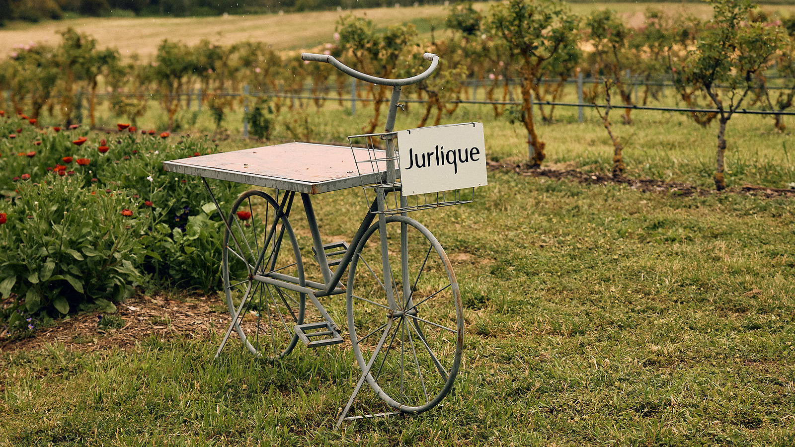 Jurlique and the Lane Vineyard Lexus Encore Experience