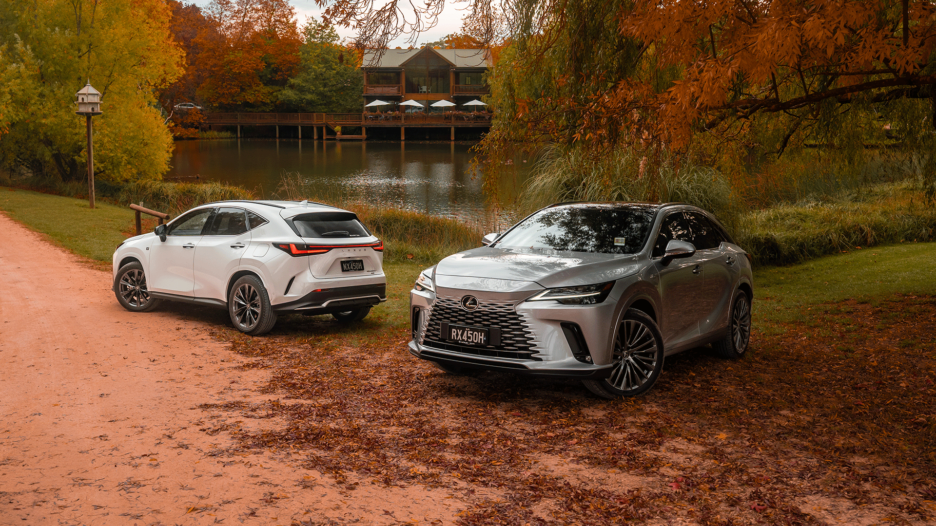 Two Lexus vehicles parked underneath Autumn foliage