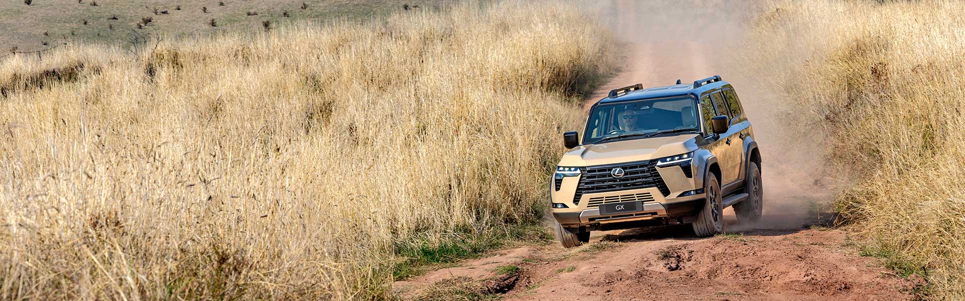 Earth coloured Lexus GX driving on a dirt track with tall dry grass on the sides of the track
